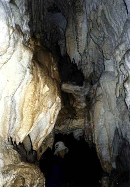 NZ_SI_090d_sk_Paparoa_FoxRiverCaves
