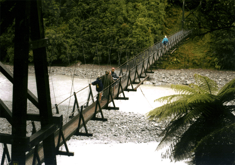 NZ_SI_102_Ir_WestCoast_FranzJosephGlacier