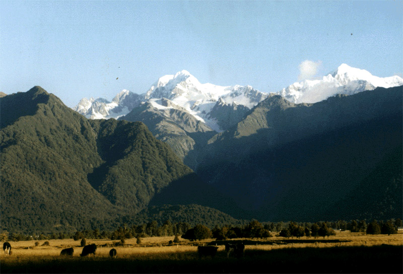 NZ_SI_105_Ir_WestCoast_MontCook