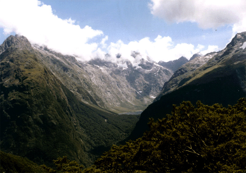 NZ_SI_150_Ir_Fiordland