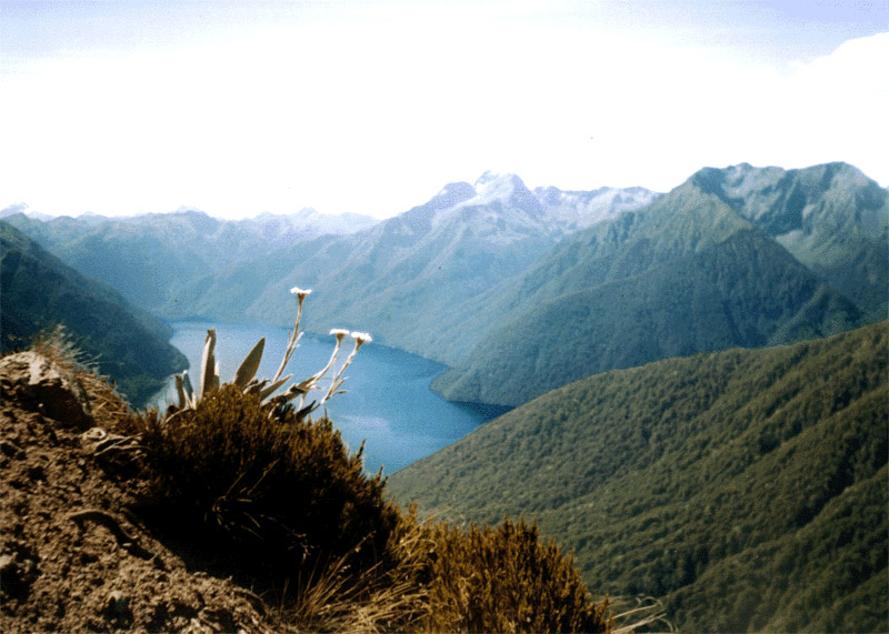NZ_SI_152_sk_Fiordland_KeplerTrack_TeAnau
