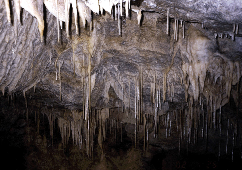 NZ_SI_153_sk_Fiordland_KeplerTrack_LuxmoreCave