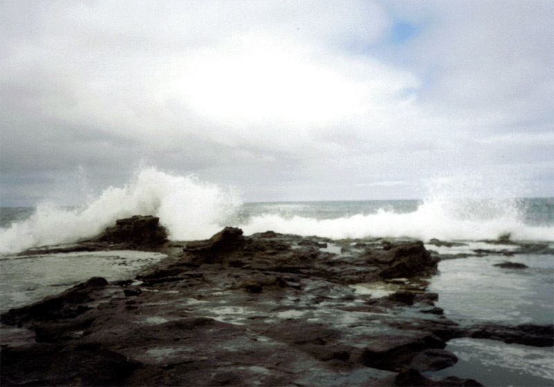 NZ_SI_167_sk_Southland_Catlins_CurioBay