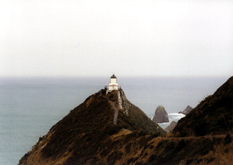 NZ_SI_173_Ir_Southland_NuggetPoint