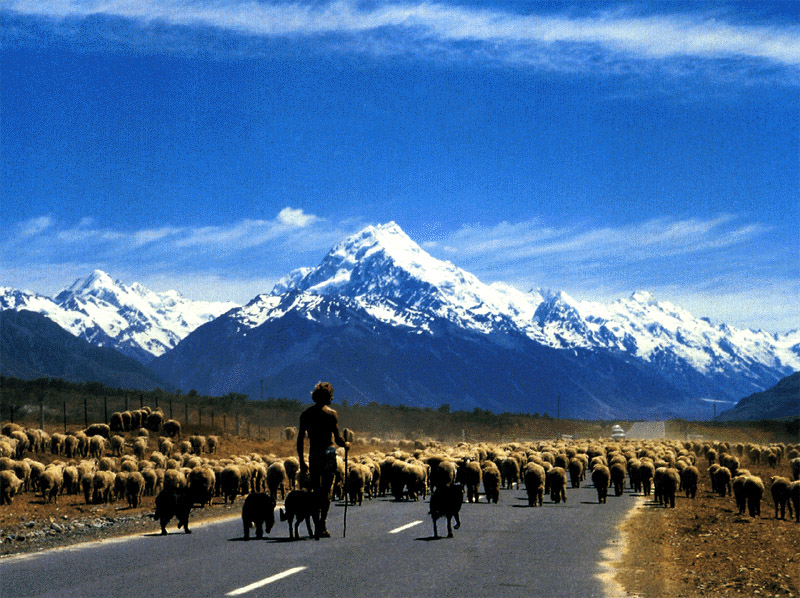 NZ_SI_200_Ir_Aoraki_ MtCook