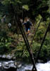 NZ_NI_007_sk_KawekaForest_FootBridge