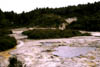NZ_NI_013_Ir_Waiotapu_ThermalArea