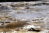 NZ_NI_013_sk_Waiotapu_ThermalArea