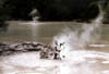 NZ_NI_019_sk_Waiotapu_ThermalArea
