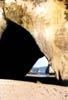 NZ_NI_024_sk_Coromandel_CatedralCave