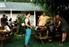 NZ_NI_036_sk_Coromandel_Vanoce