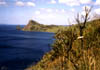 NZ_NI_039_sk_Coromandel_smeremPortJackson