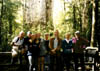 NZ_NI_042_Ir_Northland_Kauri_TaneMahuta