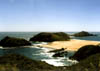 NZ_NI_051_Ir_Northland_NintyMileTrack