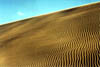 NZ_NI_054_Ir_Northland_CapeReinga_TePaki