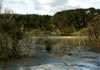 NZ_NI_055_Ir_Northland_CapeReinga_TePaki_b
