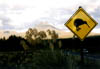 NZ_NI_073_sk_Tongariro_MtNgauruhoe