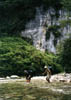 NZ_SI_090_sk_Paparoa_FoxRiverTrack-1