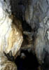 NZ_SI_090d_sk_Paparoa_FoxRiverCaves