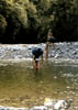 NZ_SI_091_Ir_Paparoa_FoxRiverTrack
