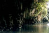 NZ_SI_092_Ir_Paparoa_FoxRiverTrack