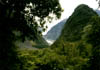 NZ_SI_105_Ir_WestCoast_FoxGlacier