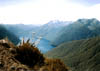 NZ_SI_152_sk_Fiordland_KeplerTrack_TeAnau