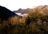 NZ_SI_154_sk_Fiordland_KeplerTrack_Kea