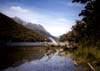 NZ_SI_158_sk_Fiordland_CaplesTrack