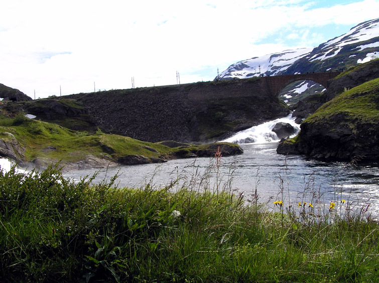P7130068