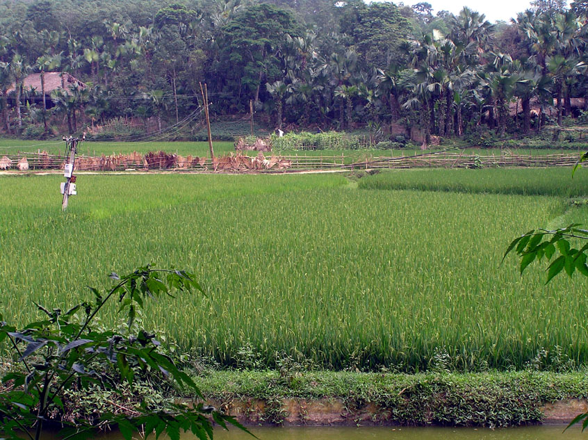P5080121