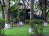 P5010142-3