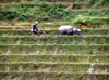 P5020181