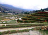 P5020203
