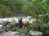 P5020231