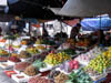 P5050051_1005