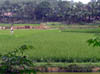 P5080121