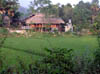 P5080178